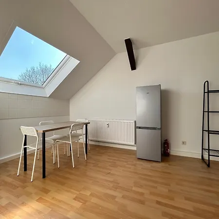 Apartment Einzelbetten, Waschmaschine, Ideal Fuer Gruppen Chemnitz